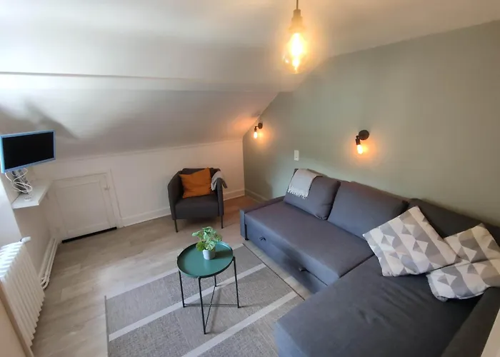 아파트 Avec Vue Sur Le Sancy, Parking Gratuit