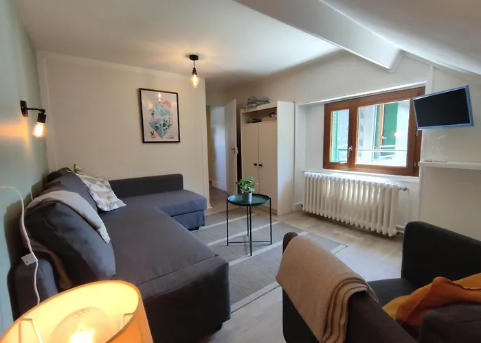 Avec Vue Sur Le Sancy, Parking Gratuit 아파트